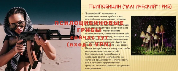2c-b Лагань