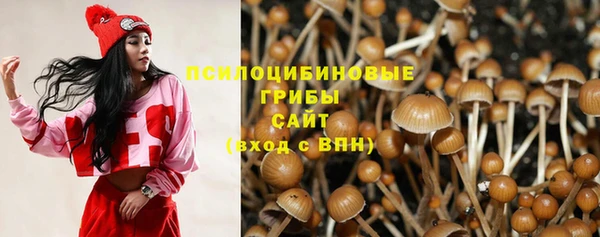 дживик Лабытнанги